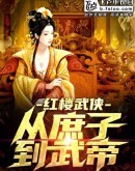红楼武侠：从庶子到武帝